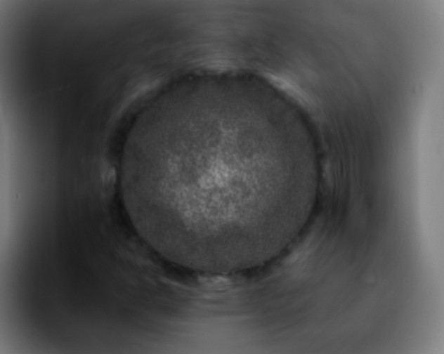 X0000092291302200709211206