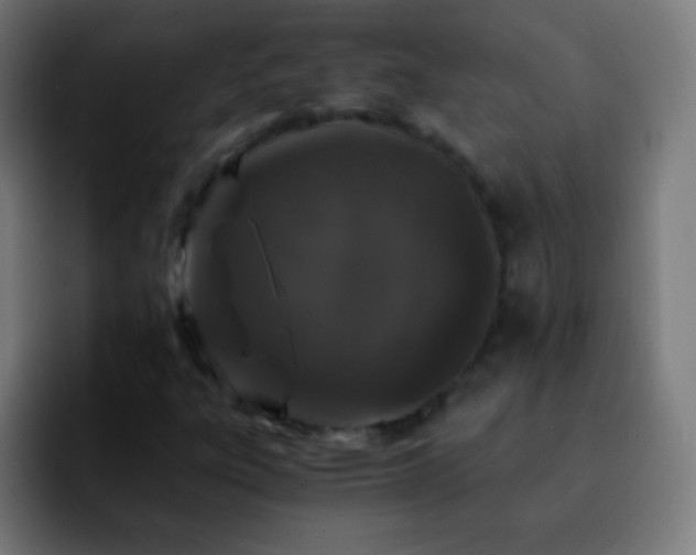 X0000092291303200709211206