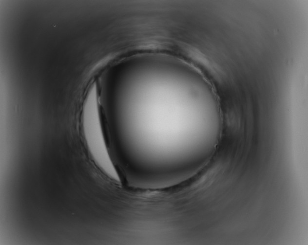 X0000092291304200709211206