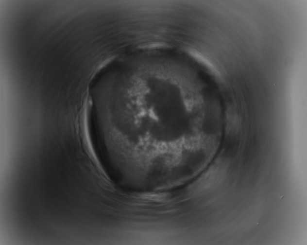 X0000092291305200709211206