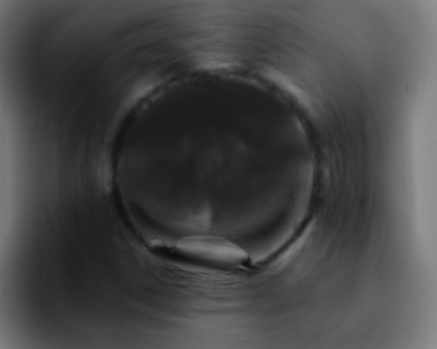 X0000092291306200709211206