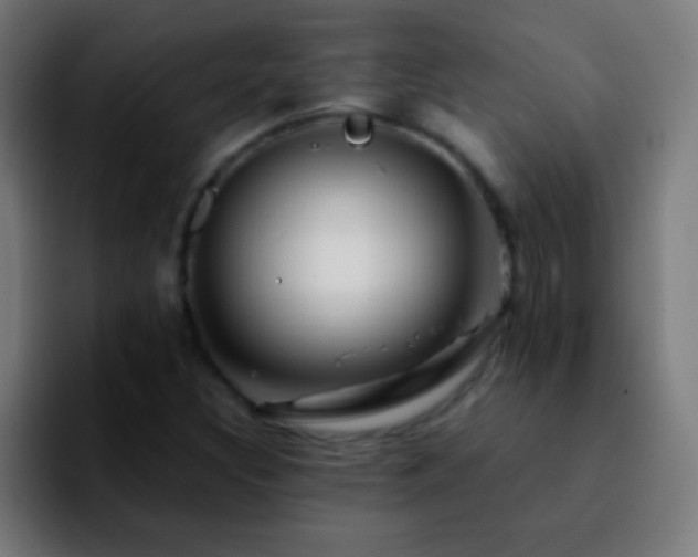 X0000092291308200709211206