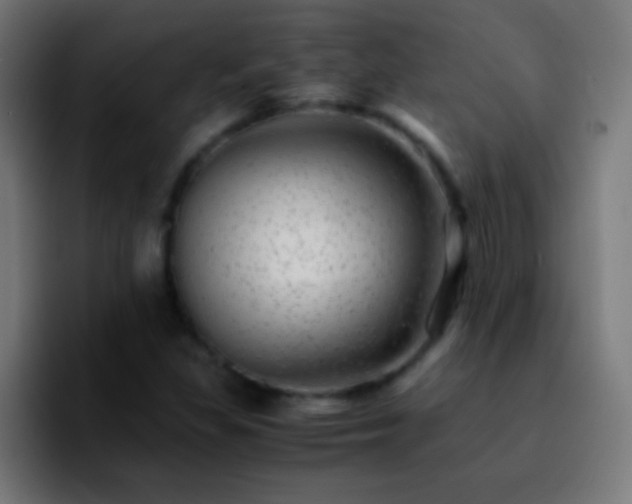 X0000092291309200709211206