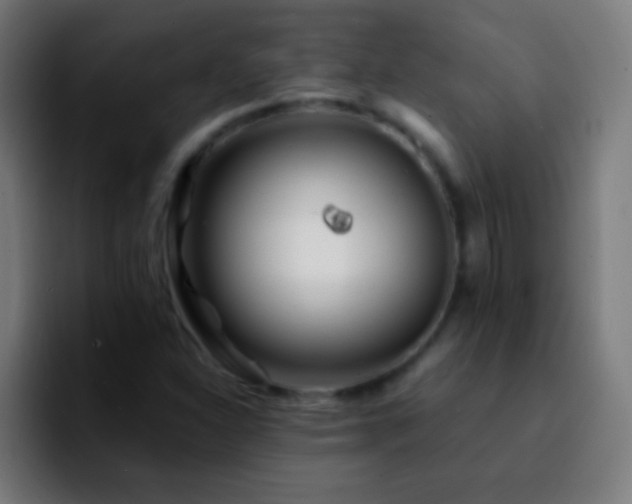 X0000092291310200709211206