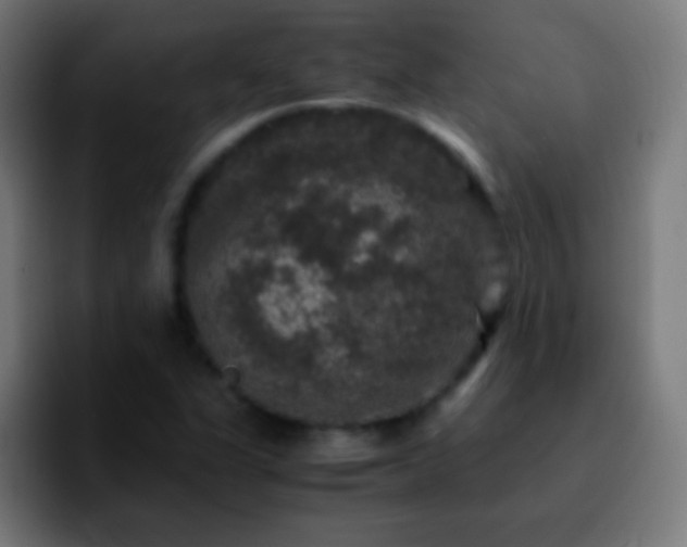 X0000092291311200709211206