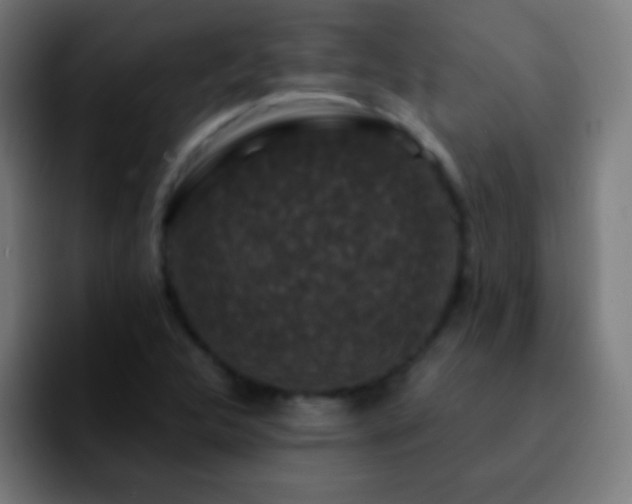 X0000092291312200709211206