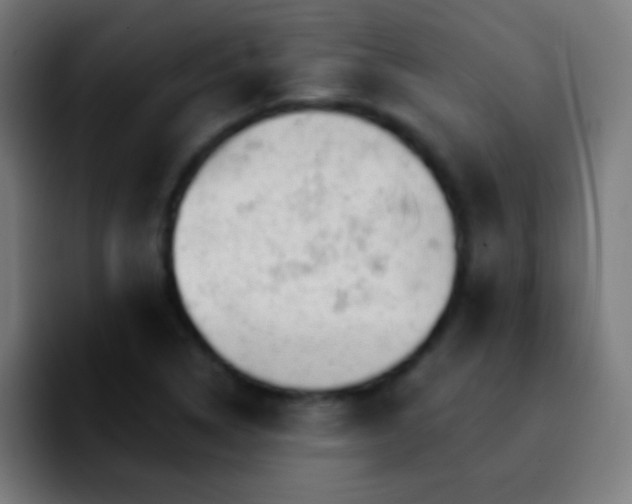 X0000092291314200709211206