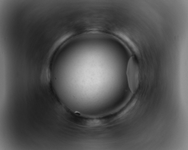 X0000092291317200709211206