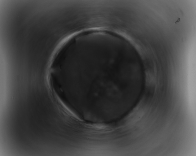 X0000092291319200709211206