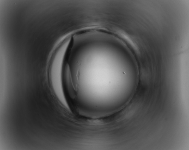 X0000092291320200709211206