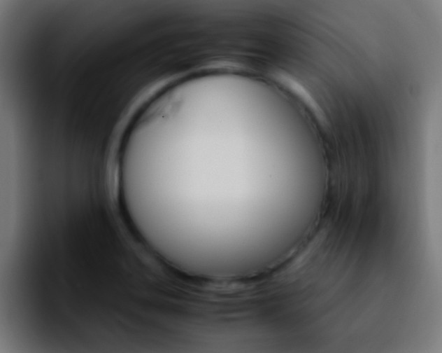 X0000092291323200709211206