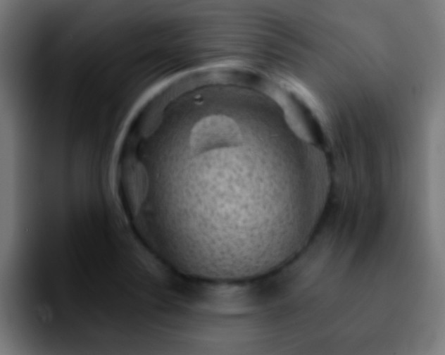 X0000092291324200709211206