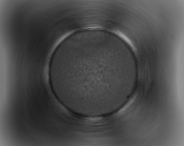 X0000092291325200709211206