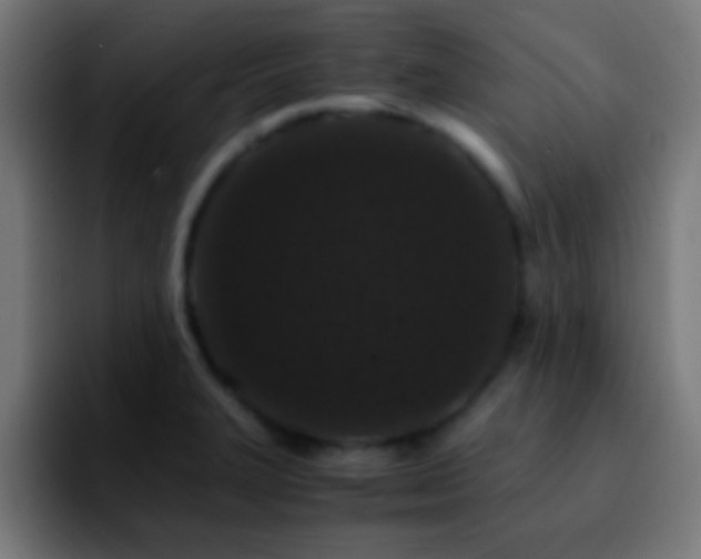 X0000092291327200709211206