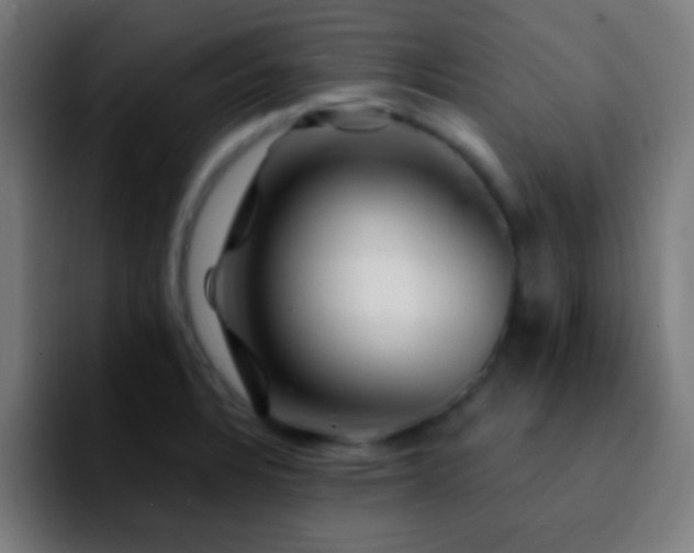 X0000092291328200709211206