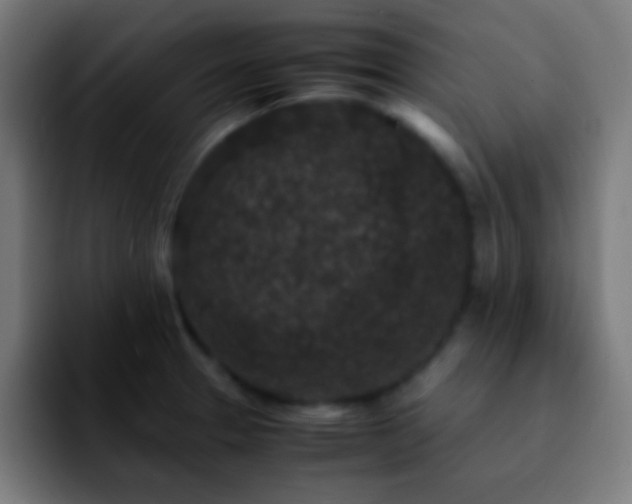 X0000092291329200709211206