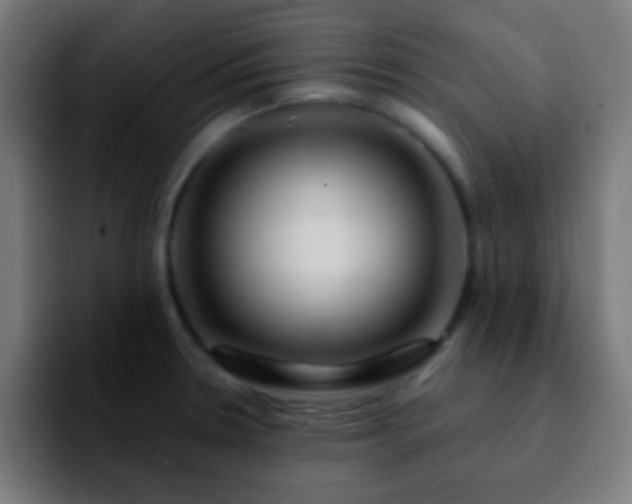 X0000092291330200709211206