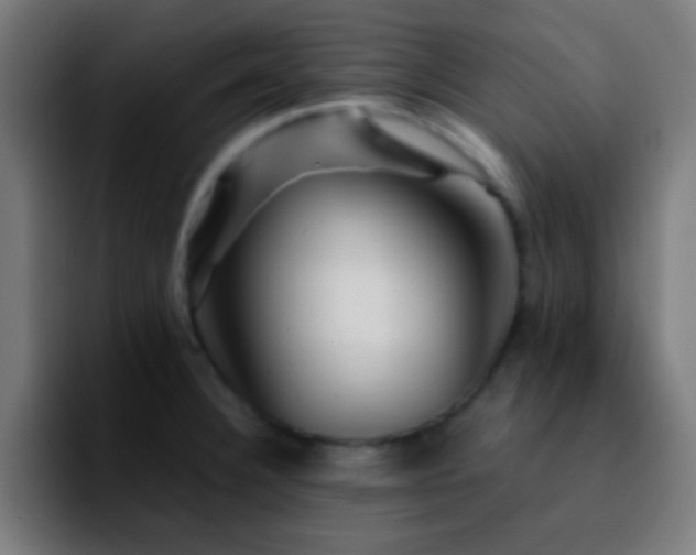 X0000092291332200709211206