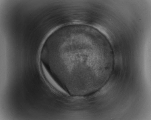 X0000092291333200709211206