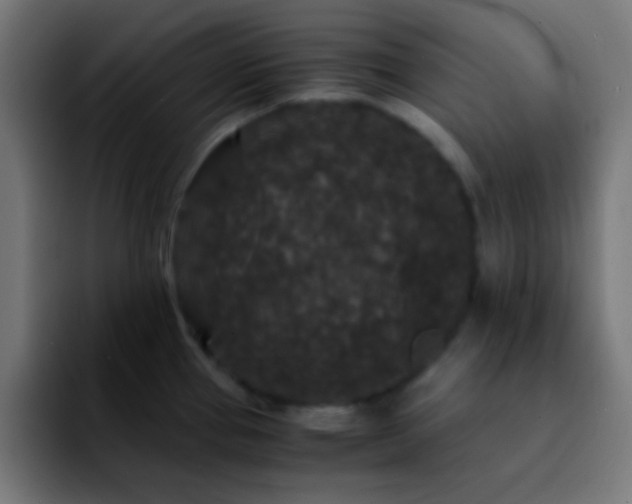 X0000092291337200709211206