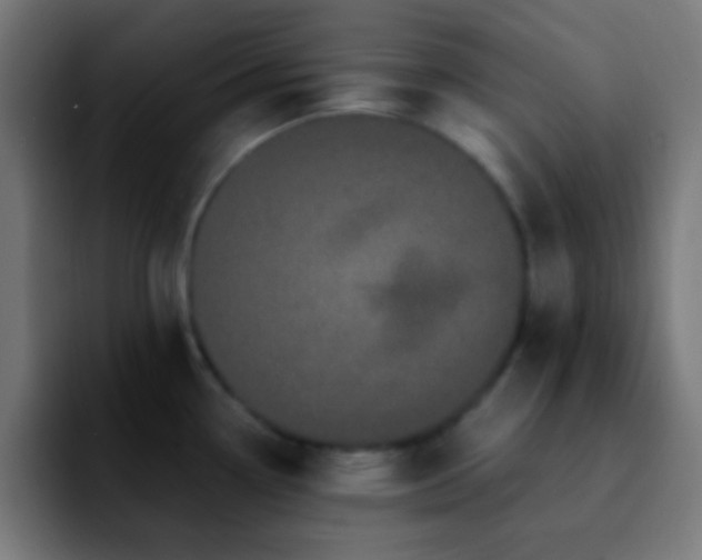 X0000092291338200709211206