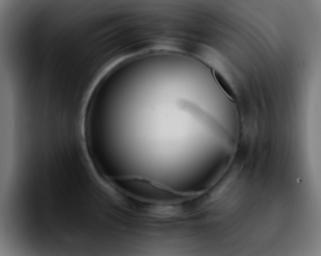 X0000092291339200709211206