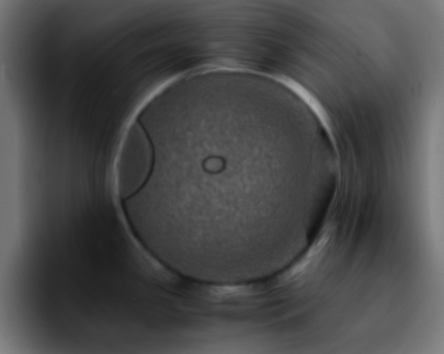 X0000092291341200709211206