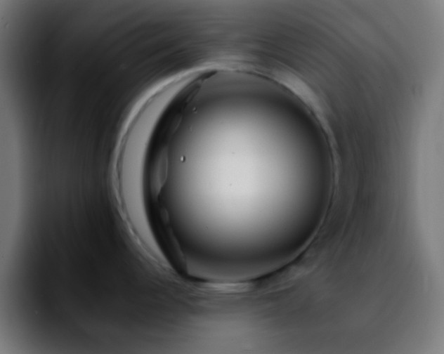 X0000092291344200709211206