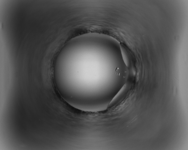 X0000092291345200709211206