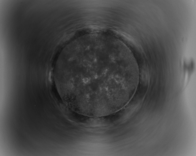 X0000092291346200709211206