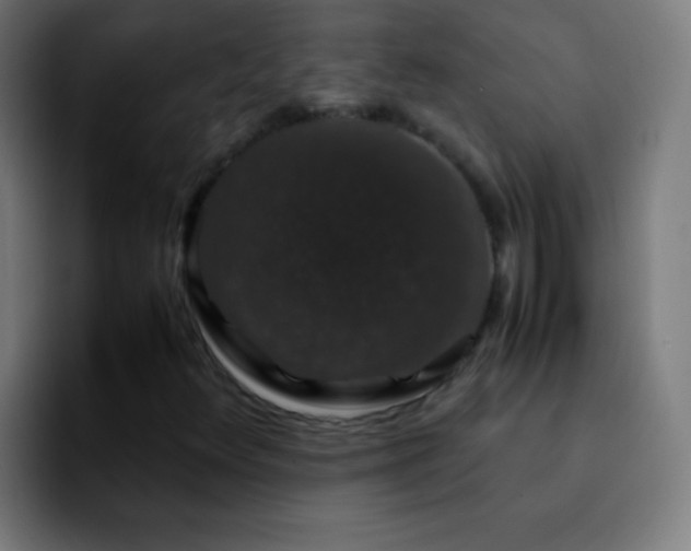 X0000092291348200709211206