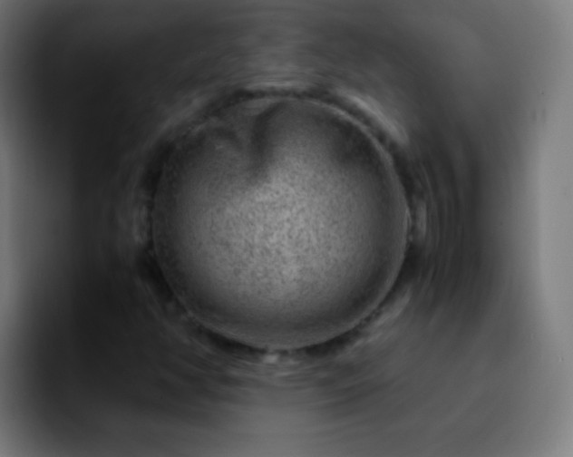 X0000092291350200709211206