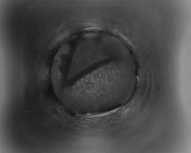 X0000092291351200709211206