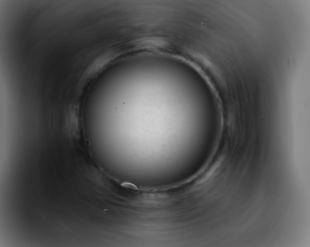 X0000092291354200709211206