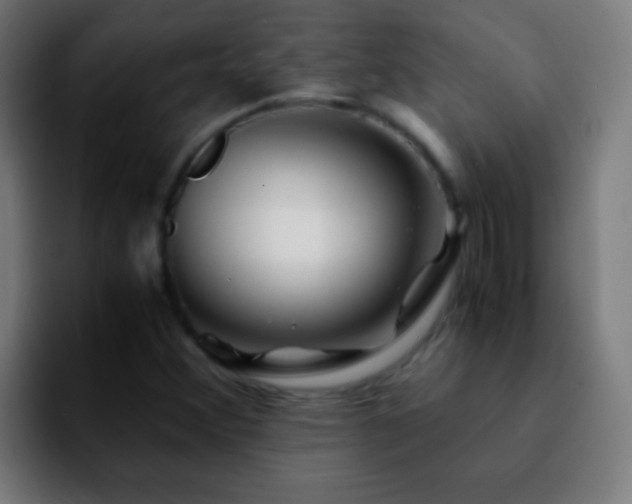 X0000092291356200709211206