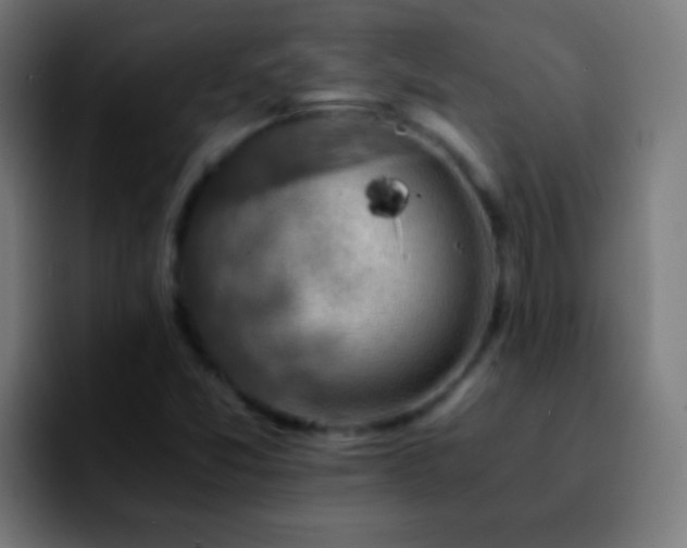 X0000092291357200709211206