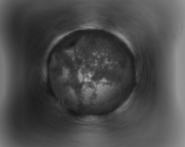 X0000092291358200709211206