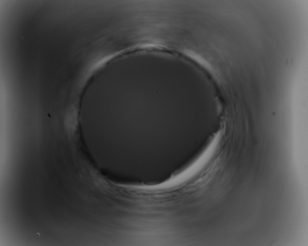 X0000092291359200709211206