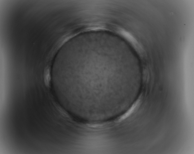 X0000092291361200709211206