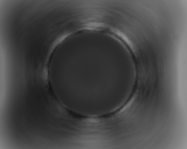 X0000092291362200709211206