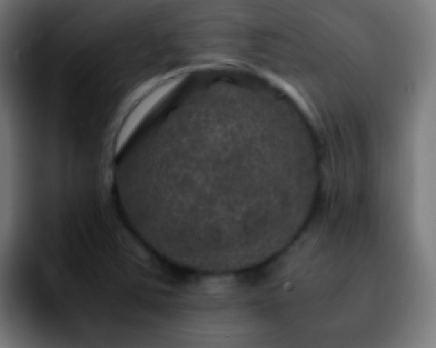 X0000092291363200709211206