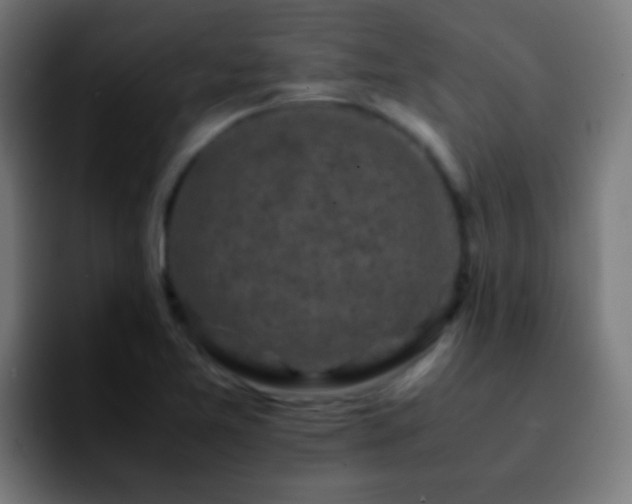 X0000092291365200709211206