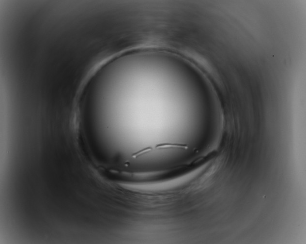 X0000092291366200709211206