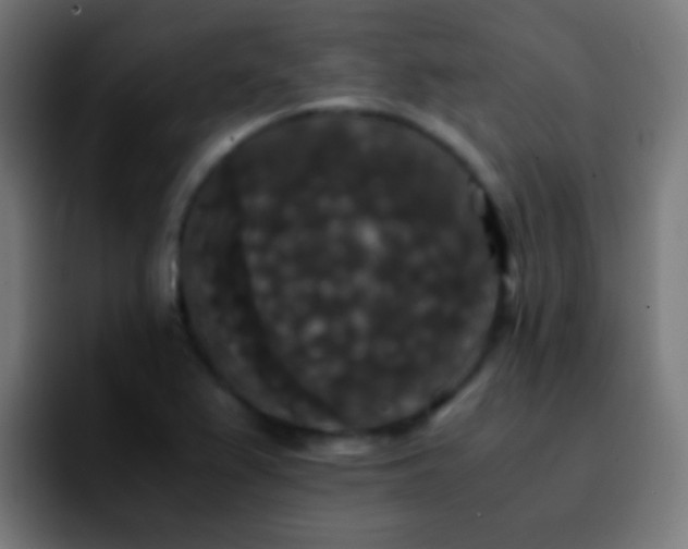 X0000092291367200709211206