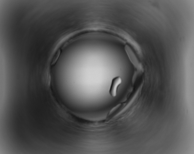 X0000092291368200709211206