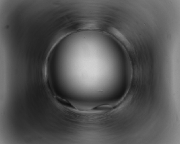 X0000092291370200709211206