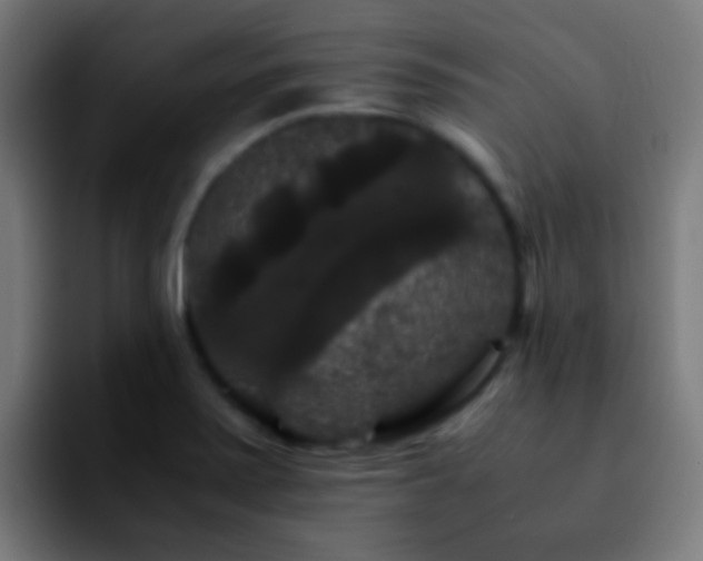 X0000092291371200709211206