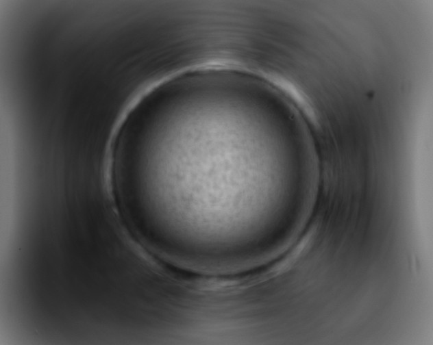 X0000092291374200709211206