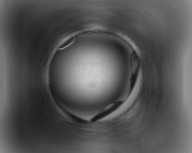 X0000092291375200709211205