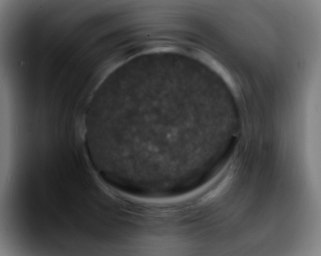 X0000092291377200709211205